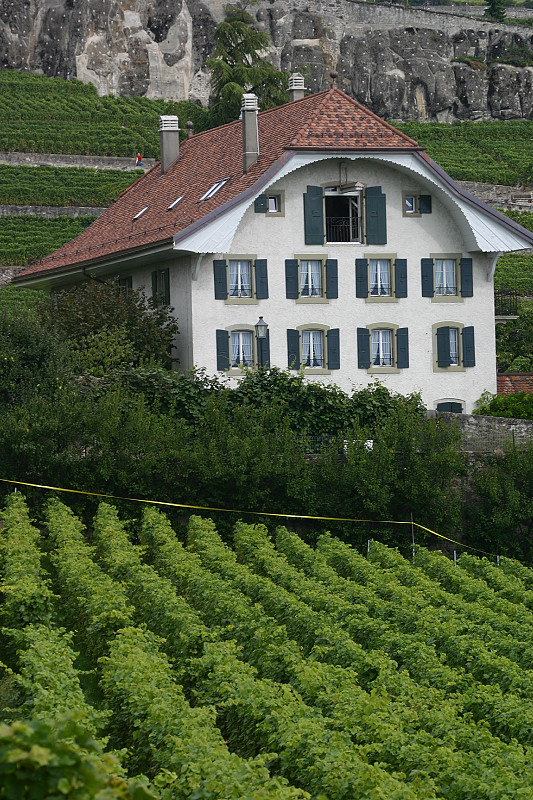 foto Lozanna i okoliczne winnice