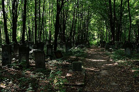 foto Cmentarze w Łodzi