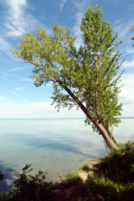 foto Balaton i okolice