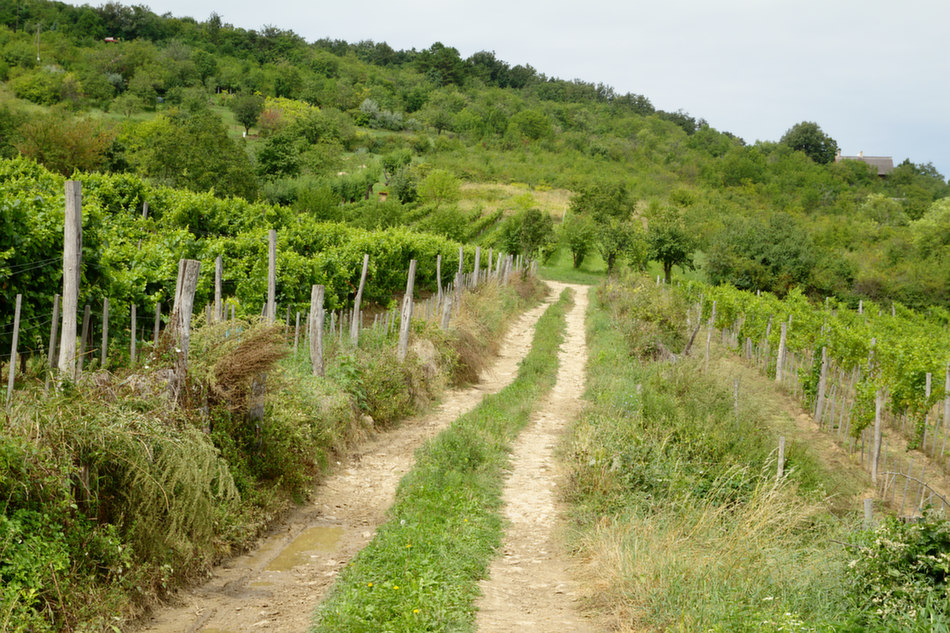 foto Balaton i okolice