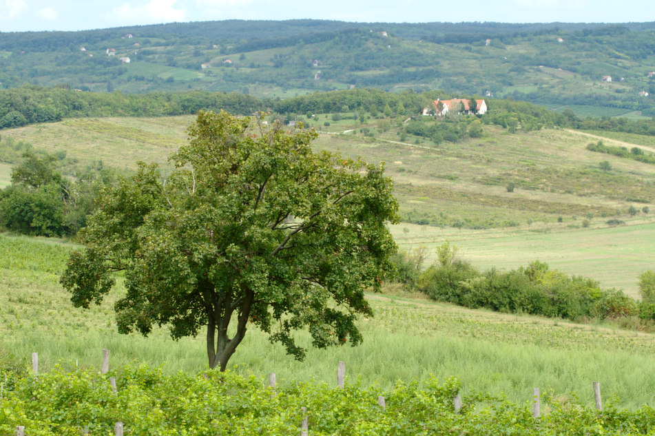 foto Balaton i okolice