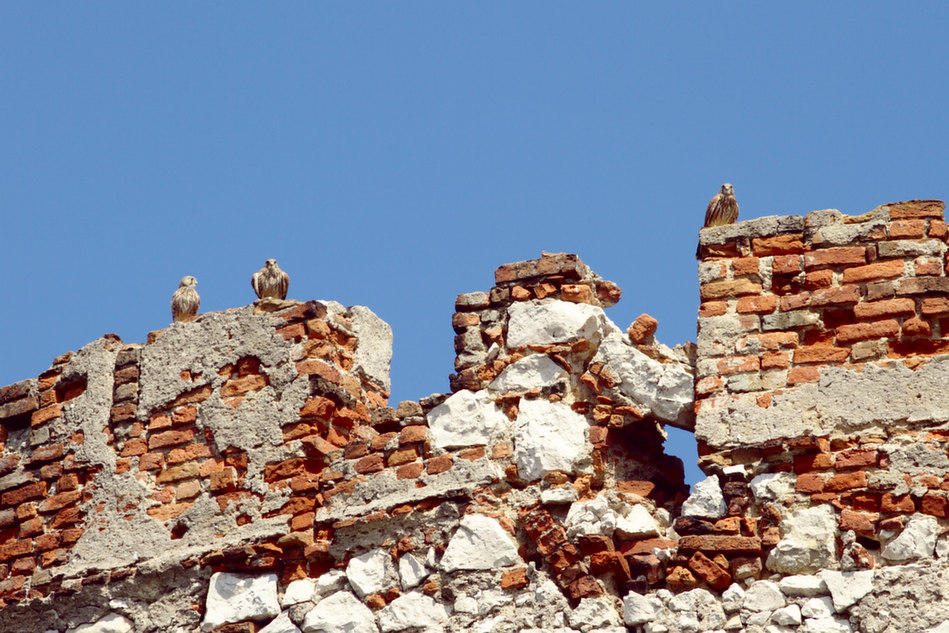 foto Děvičky Hrad