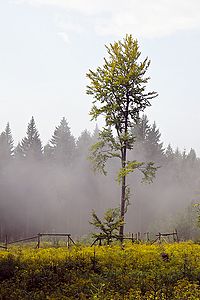 foto Góry Izerskie / Jizerské hory