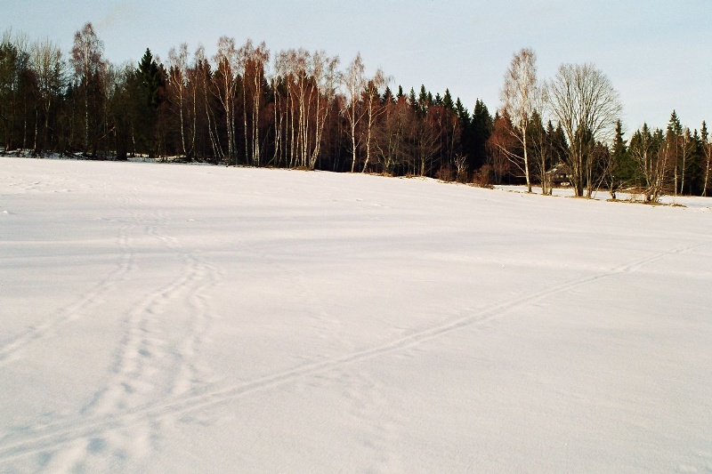 foto Srni, góry Szumawskie