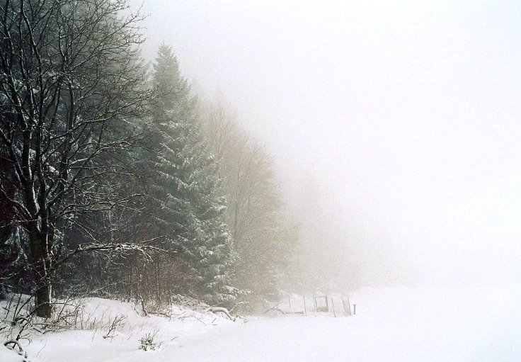 foto Srni, góry Szumawskie