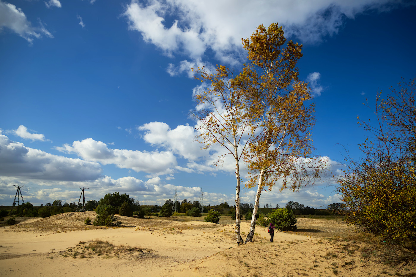 foto Narew