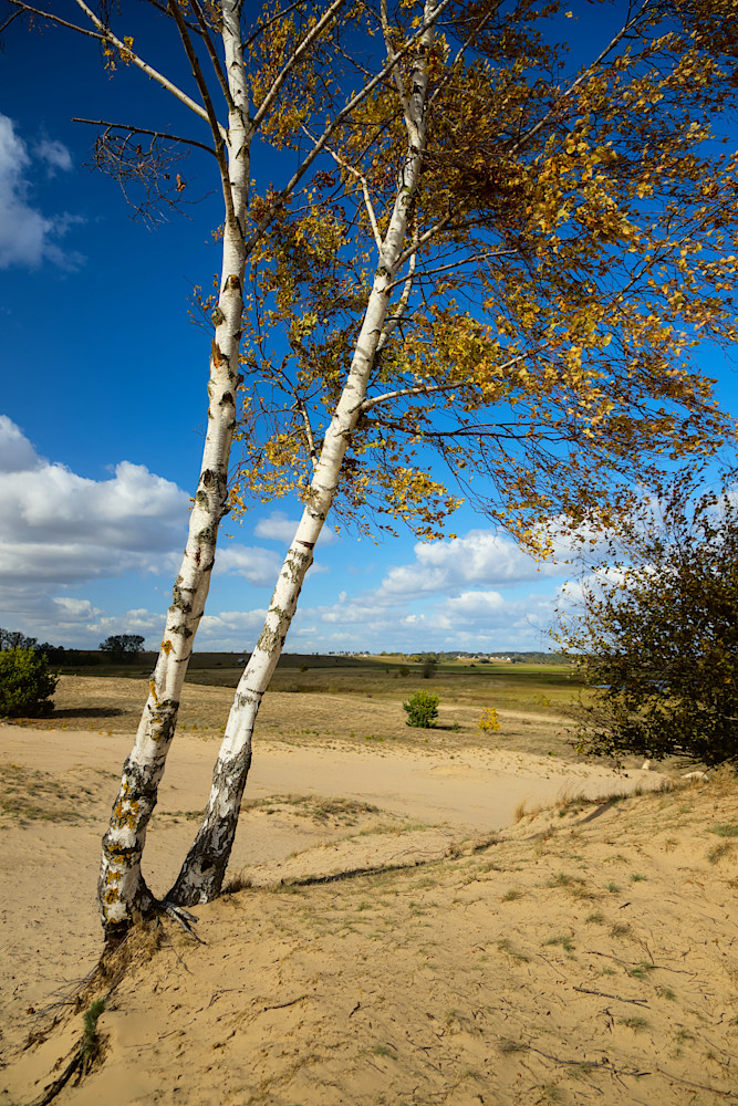 foto Narew