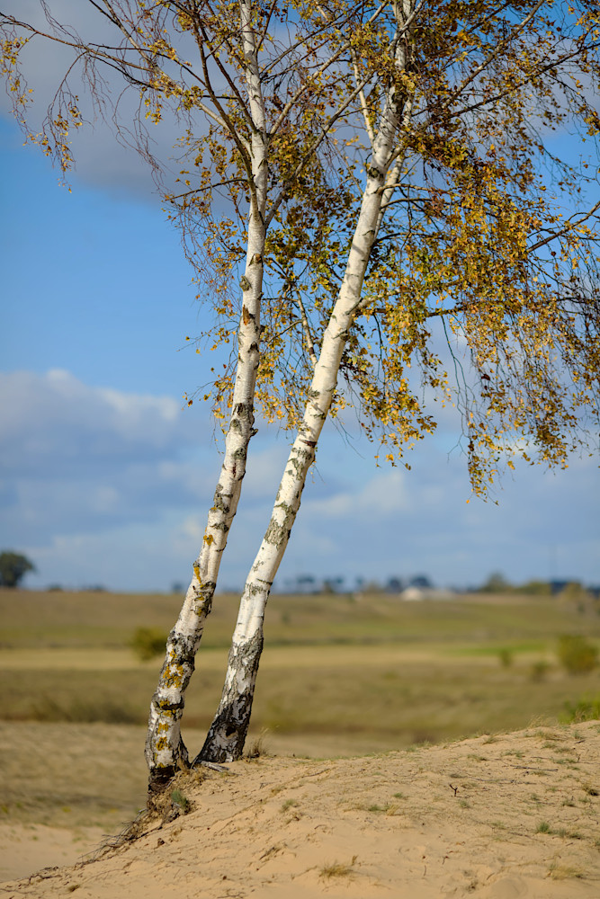 foto Narew