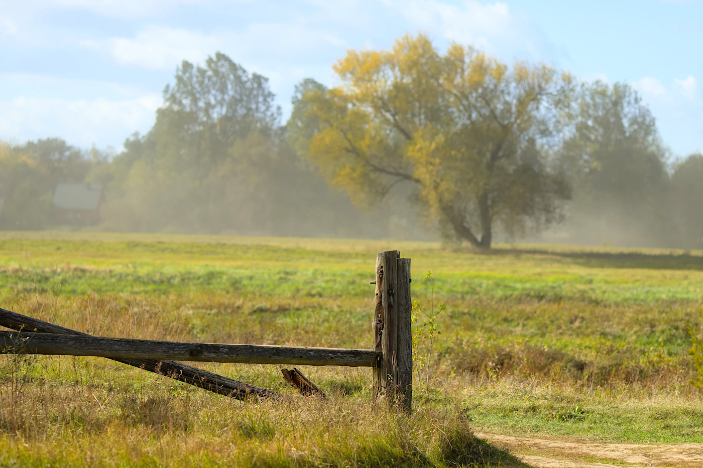 foto Narew