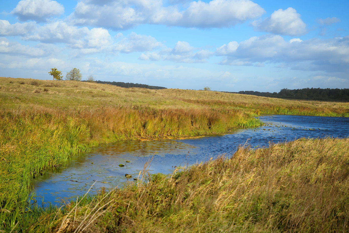 foto Narew