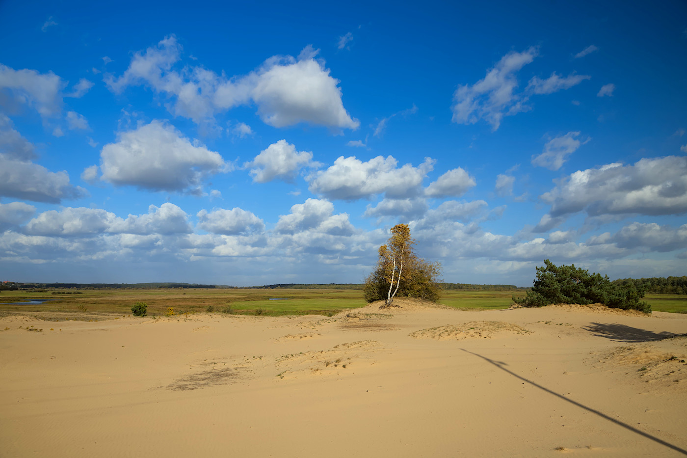 foto Narew