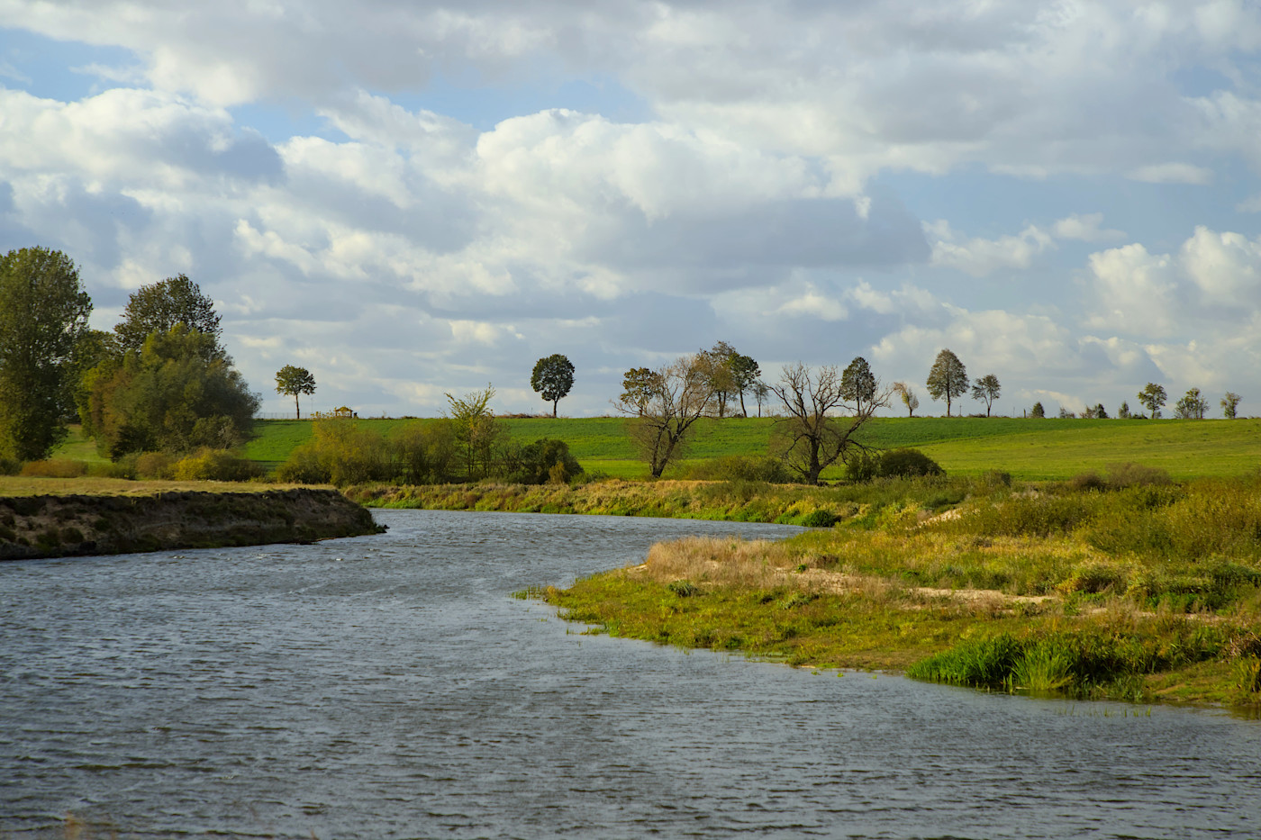 foto Narew