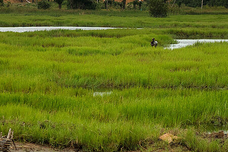 foto Benin