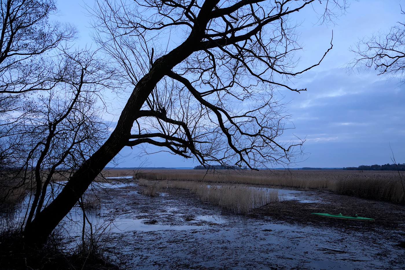 foto Narew wczesną wiosną