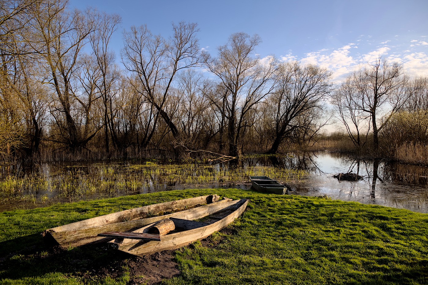 foto Narew wczesną wiosną