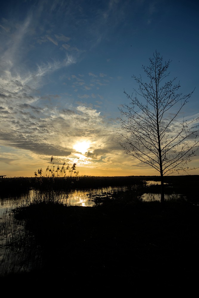 foto Narew wczesną wiosną