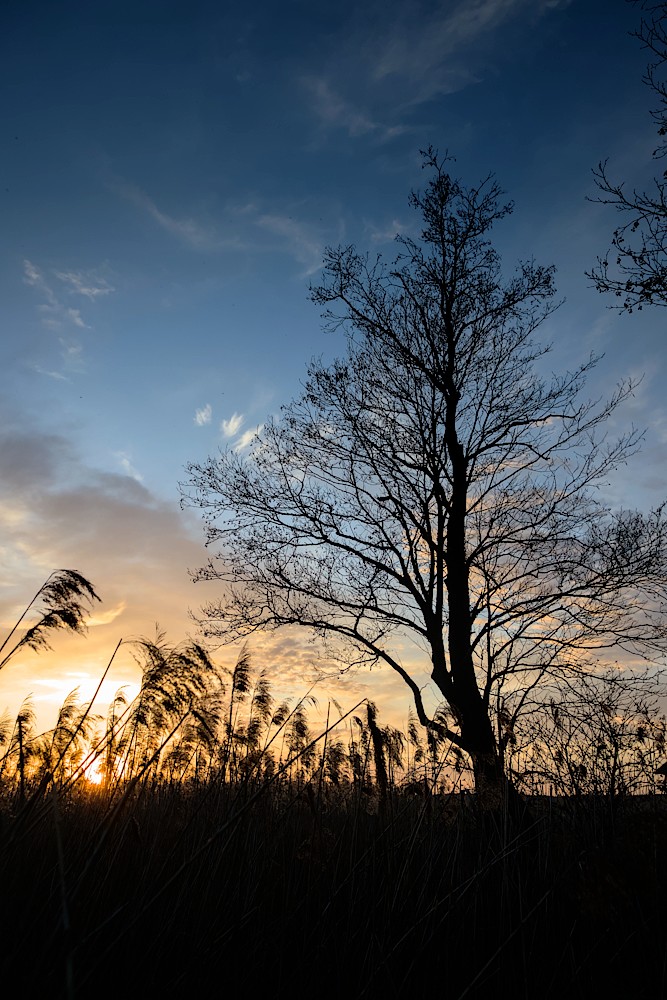 foto Narew wczesną wiosną