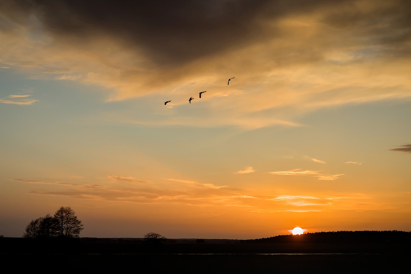 foto Narew wczesną wiosną