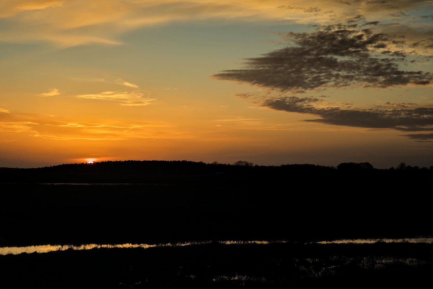 foto Narew wczesną wiosną