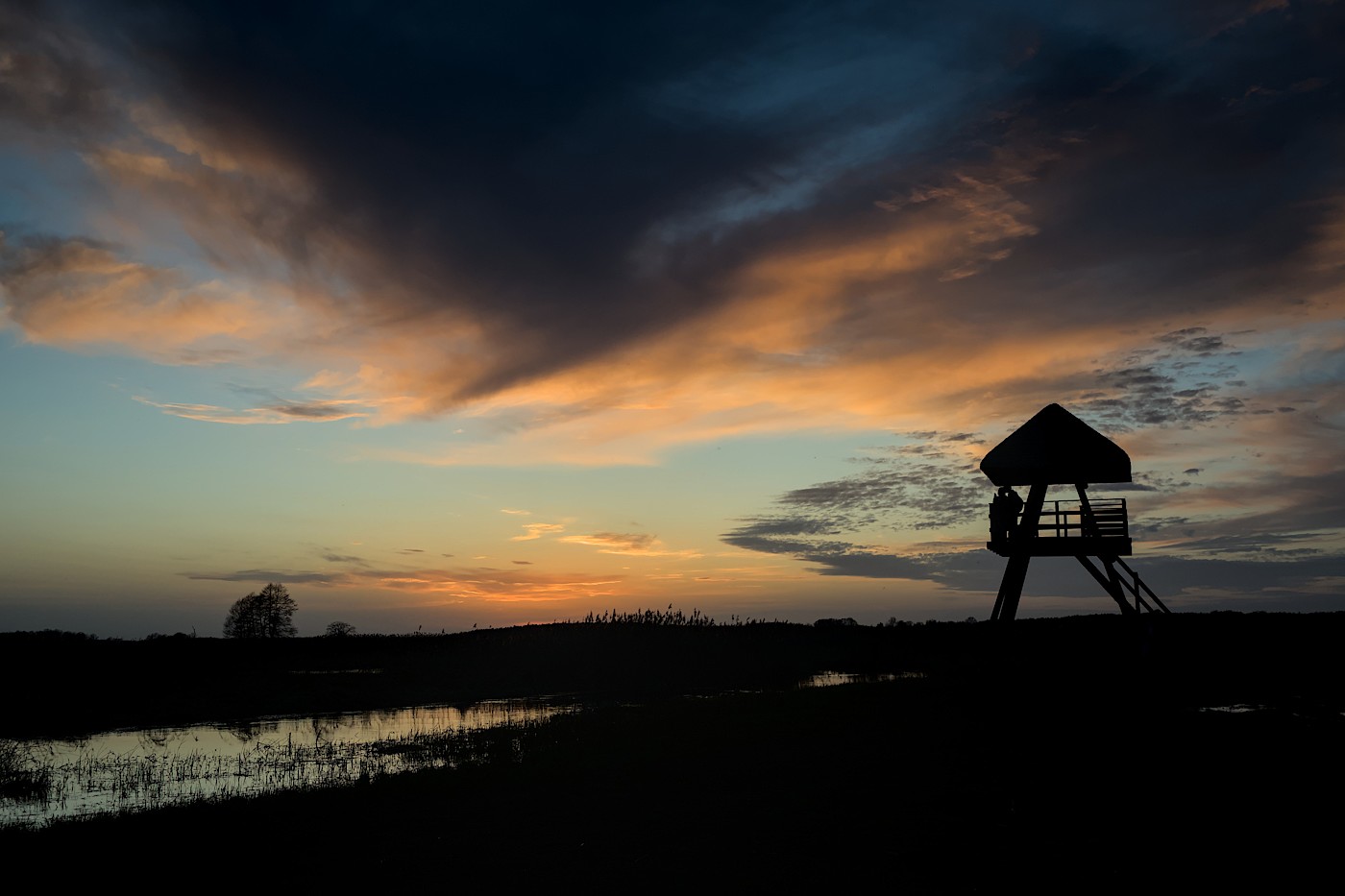 foto Narew wczesną wiosną