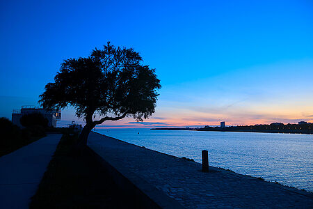 foto La Rochelle