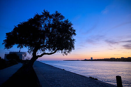 foto La Rochelle